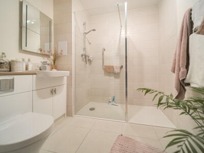 Picture 8